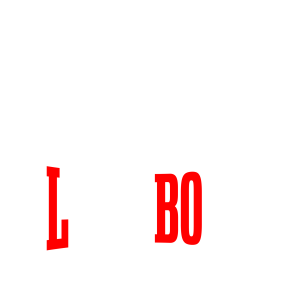 Lyon Boxe Logo